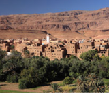 Moroccan Mint