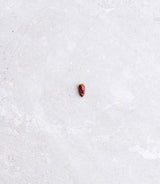 NY Piquin - tørret chili
